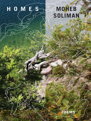 cover image of HOMES